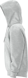 Vans Kapuzensweatshirt ESSENTIALFTRELAXEDPO Grau/Hellgrau/Silber