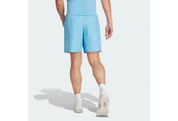 adidas Performance TRAIN ESSENTIALS WOVEN TRAINING SHORTS Hellblau/Blau