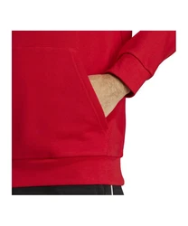 adidas Originals Sweatshirt Trefoil Hoody 