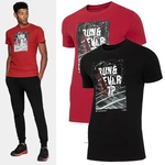 4F T-Shirt Sport Rot/Dunkelrot