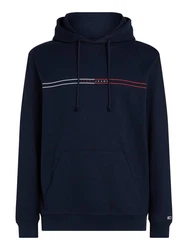 Tommy Jeans Kapuzensweatshirt TJM REG ENTRY GRAPHIC HOODIE mehrfarbig