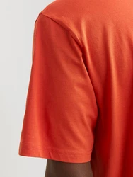 Jack & Jones T-Shirt JORVESTERBRO Orange/Rot