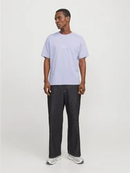 Jack & Jones T-Shirt JORVESTERBRO Blau/Hellblau/Lila/Grau