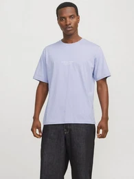 Rundhalsshirt JORVESTERBRO TEE SS CREW NECK NOOS