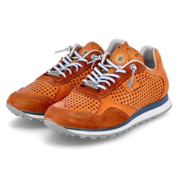 Low Sneaker Sneaker