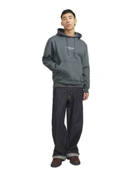 Jack & Jones Hoodie JORVESTERBRO Dunkelgrau/Hellgrau/Grau/Dunkelblau/Blau/Grün/Dunkelgrün