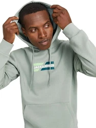 Jack & Jones Hoodie JJECORP GRAPHIC SWEAT HOOD Grün/Rosa