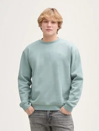 Sweatshirt Sweatshirt mit Logo-Print