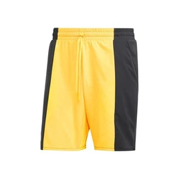 Shorts Ergo Shorts