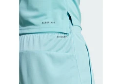 ADIDAS PERFORMANCE Sportshorts 'Essentials' Hellblau