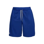Under Armour Shorts UA Tech Mesh Blau/Dunkelblau