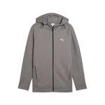 PUMA Sweatjacke EVOSTRIPE Kapuzenjacke Herren Grau/Dunkelgrau/Braun/Hellgrau
