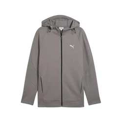 PUMA Sweatjacke EVOSTRIPE Kapuzenjacke Herren Grau/Dunkelgrau/Braun/Hellgrau