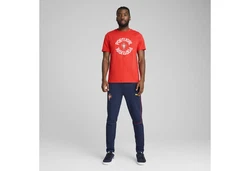 PUMA T-Shirt Portugal ftblNRGY Herren Rot/Dunkelrot