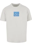 Merchcode T-Shirt Herren Spring Break 2 Heavy Oversized Tee Grün/Grau/Hellblau