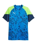 PUMA T-Shirt individualCUP Trikot Blau/Türkis/Hellblau