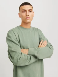 Jack & Jones Sweatshirt JJECHARGE SWEAT CREW NECK NOOS Dunkelgrün/Grün/Hellgrün/Khaki