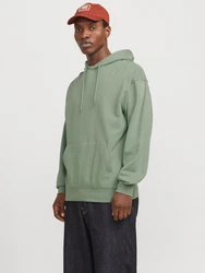 Jack & Jones Sweatshirt JJECHARGE SWEAT HOOD NOOS Grün/Dunkelgrün/Hellgrün