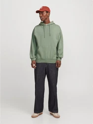 Jack & Jones Sweatshirt JJECHARGE SWEAT HOOD NOOS Grün/Dunkelgrün/Hellgrün