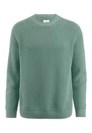 Strickpullover aus reiner Bio-Baumwolle (1-tlg)