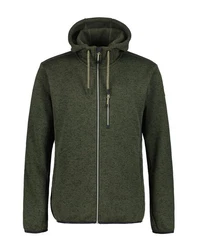 Icepeak Funktionsjacke MANAWA Dunkelgrün/Grün