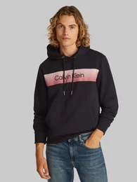 Hoodie LINEAR OMBRE CHEST LOGO HOODIE mit Logo
