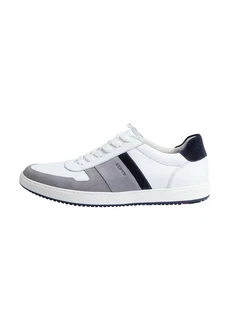 Lloyd Sneaker BOSCO