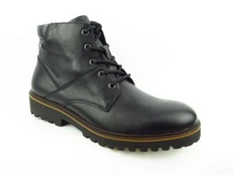 Oil Pull UP GTX Stiefelette