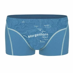 EIN SCHNER FLECK ERDE Boxer Herren 