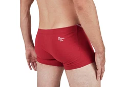EIN SCHNER FLECK ERDE Boxer Herren 