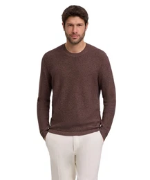 Strickpullover (1-tlg) mit Bio-Baumwolle