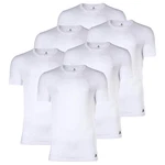 adidas Sportswear T-Shirt Herren Active Core Cotton 