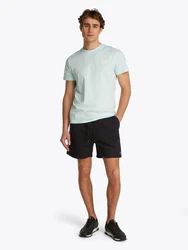 Tommy Jeans Shorts 