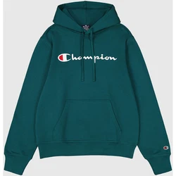 Champion Kapuzensweatshirt Hooded Sweatshirt Grün/Dunkelgrün/Türkis