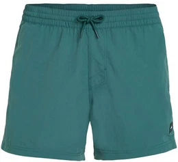 Badeshorts JACK VERT RETRO 14'' SWIM SHORTS BEETLE JUICE