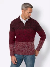 Sieh an! Strickpullover Polopullover