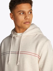 Tommy Jeans Kapuzensweatshirt TJM REG ENTRY GRAPHIC HOODIE mehrfarbig