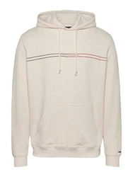 Tommy Jeans Kapuzensweatshirt TJM REG ENTRY GRAPHIC HOODIE mehrfarbig