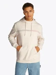 Tommy Jeans Kapuzensweatshirt TJM REG ENTRY GRAPHIC HOODIE mehrfarbig