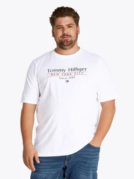 Tommy Hilfiger Big & Tall T-Shirt BT-HILFIGER CENTER STACK TEE-B Groe Gren, mit mehrfarbigen Print
