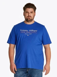 Tommy Hilfiger Big & Tall T-Shirt BT-HILFIGER CENTER STACK TEE-B Groe Gren, mit mehrfarbigen Print