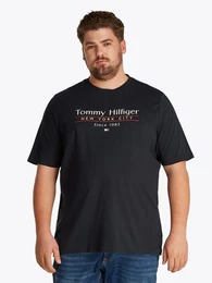 Tommy Hilfiger Big & Tall T-Shirt BT-HILFIGER CENTER STACK TEE-B Groe Gren, mit mehrfarbigen Print