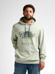 Petrol Industries Sweatshirt Hoodie Biscayneside Hellgrün/Grün/Khaki