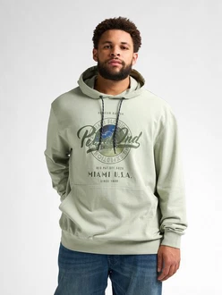 Petrol Industries Sweatshirt Hoodie Biscayneside Hellgrün/Grün/Khaki