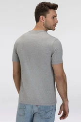 LEVI'S T-Shirt Graphic Set-In Neck Grau/Rot/Silber/Braun