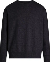 Sweatshirt L/S SWEATSHIRT mit Logo-Stickerei