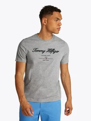 Tommy Hilfiger T-Shirt SCRIPT LOGO TEE mit Logo Grau/Hellblau