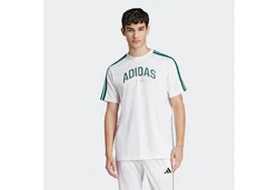 adidas Sportswear T-Shirt COLLEG TEE smaragd/weiß