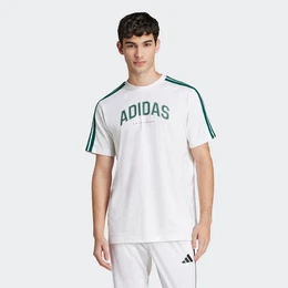 T-Shirt M C COLLEG TEE