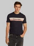 Calvin Klein T-Shirt LINEAR OMBRE CHEST LOGO Braun/Schwarz/Dunkelblau